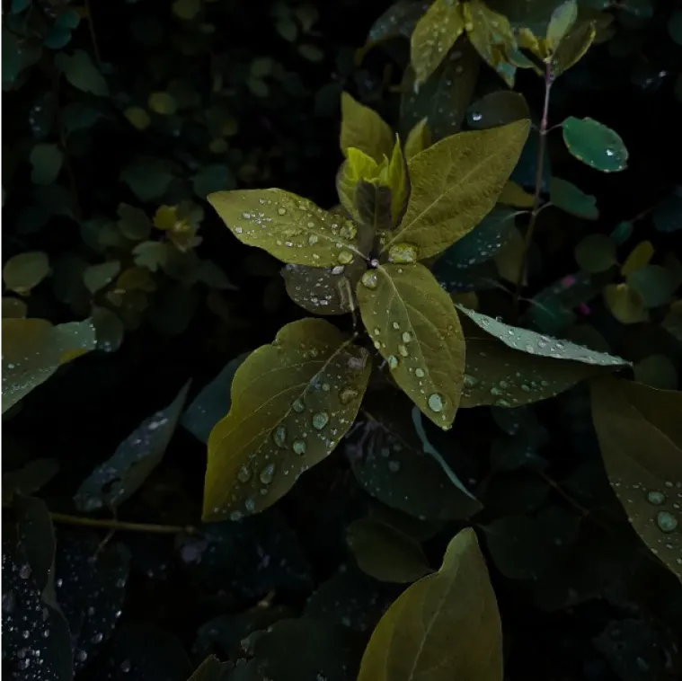 The Blade's Illusion 10 Digital Agency Portfolio Work Image 4 1